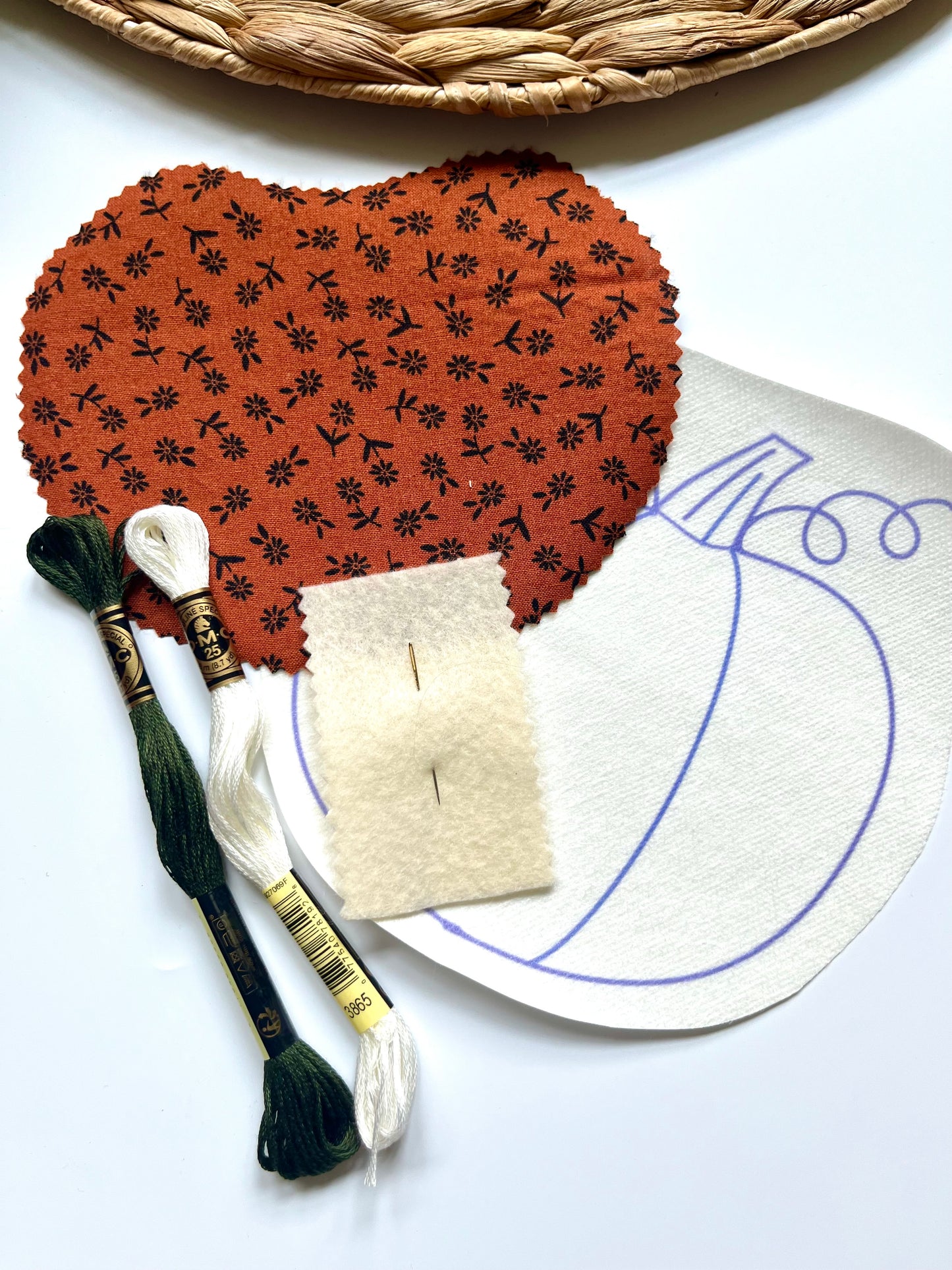 Pumpkin Appliqué Supply Kit | DIY Embroidered Shirt