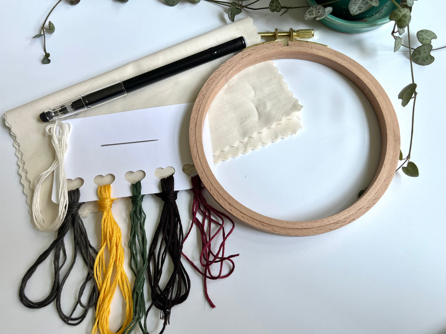 Maryland State Flower Kit | FULL Kit