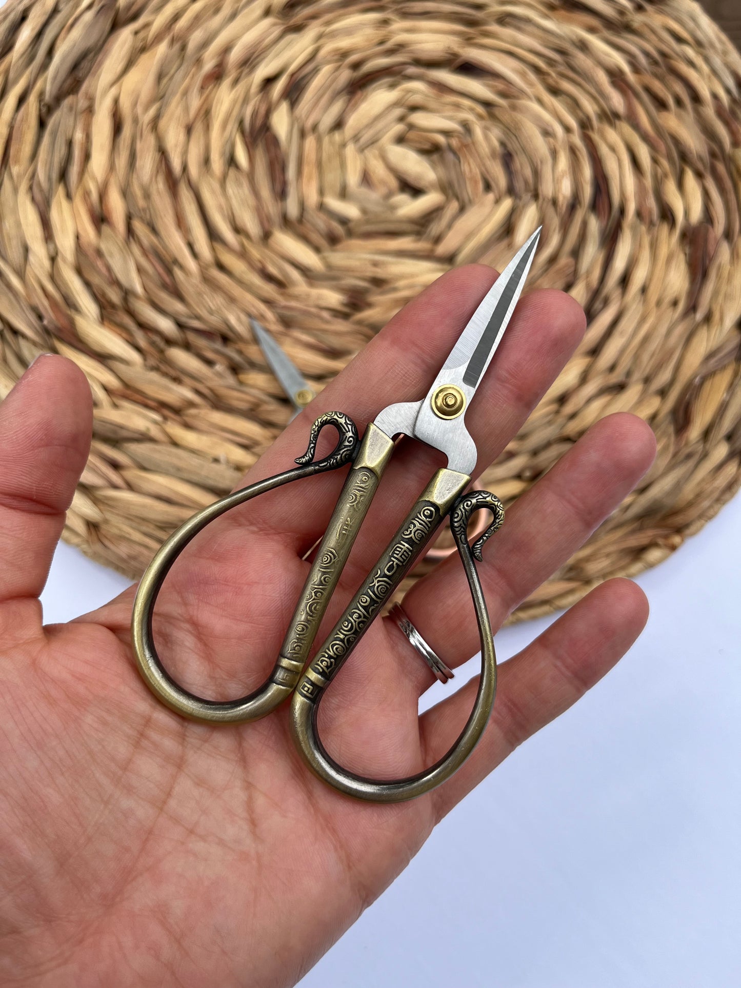 Scissors | Round Large Handle Scissors